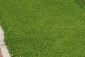 2012.8.26撮影